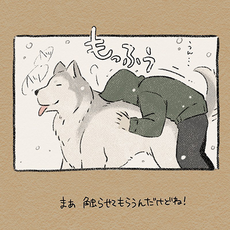 ドベとハス・ハスキー4