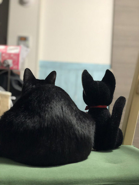 ジジとこねろくさんの後ろ姿