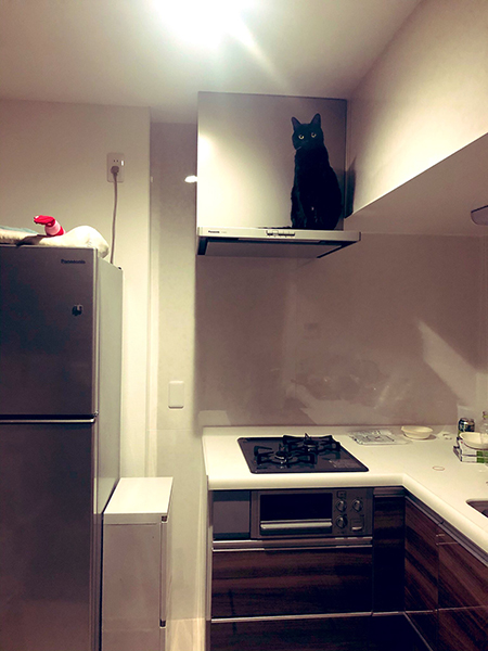 レンジフードで座るこねろくさん