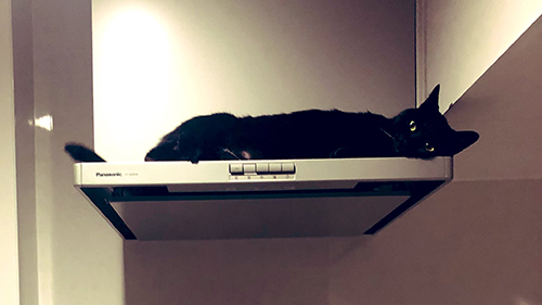 レンジフードでころがるこねろくさん