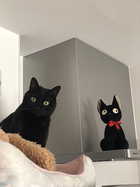 ジジとこねろくさん