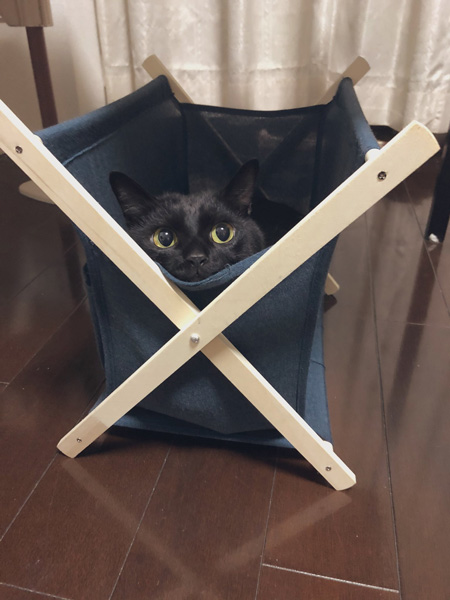 ラックとこねろくさん