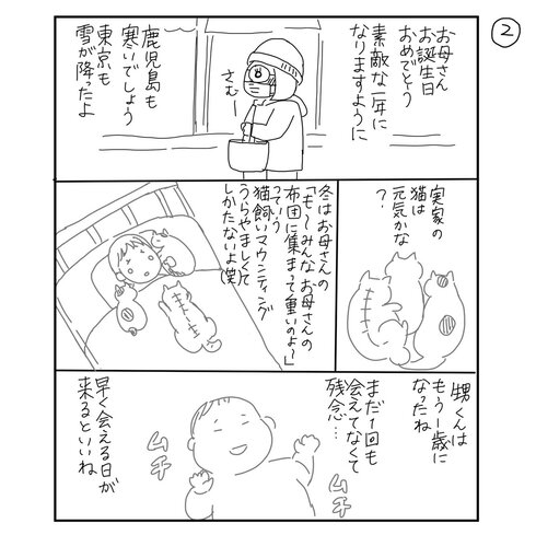 お誕生日おめでとう、お母さん02