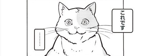 宇宙人が地球を猫の星と勘違いした話