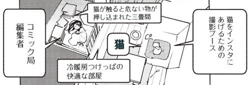 宇宙人が地球を猫の星と勘違いした話