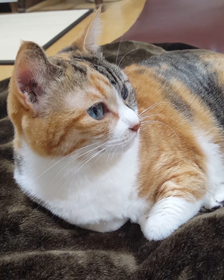 笑顔の菊ちゃん