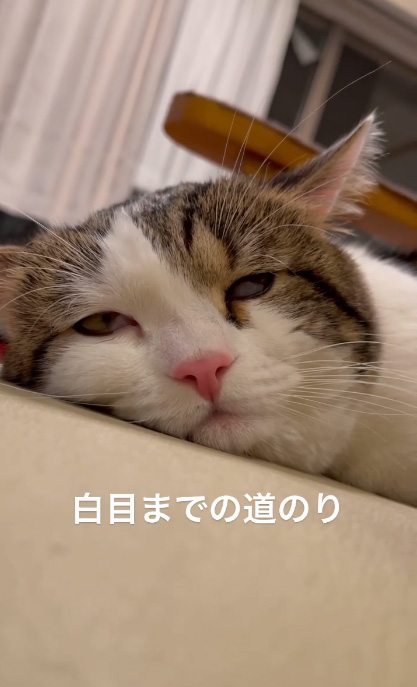 白目までの道のり3