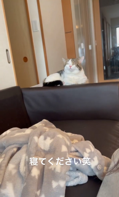 寝てくださいライちゃん1