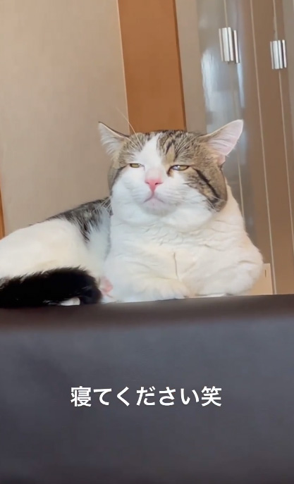 寝てくださいライちゃん3