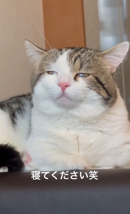 寝てくださいライちゃん4