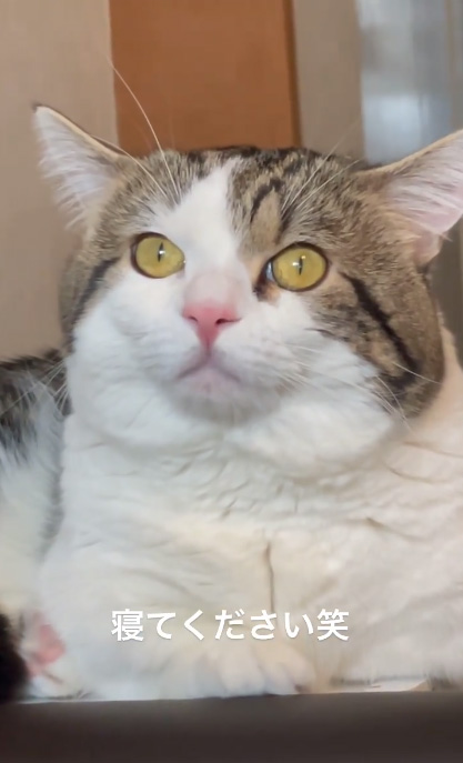 寝てくださいライちゃん5