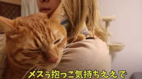 寂しくて ぬいぐるみ 一緒 飼い主を探す 猫 かわいい