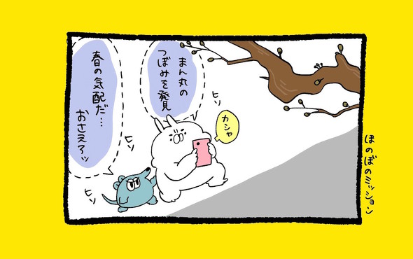 くまだよ漫画