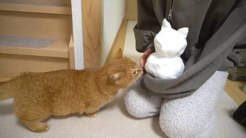 猫 プリンちゃん 雪だるま
