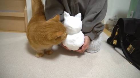 猫 プリンちゃん 雪だるま