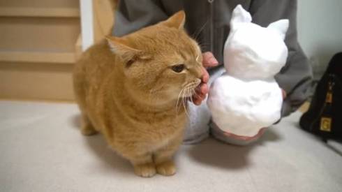 猫 プリンちゃん 雪だるま