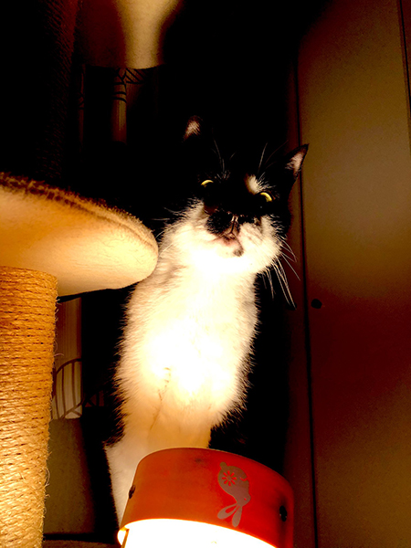 ホラーっぽいととくん