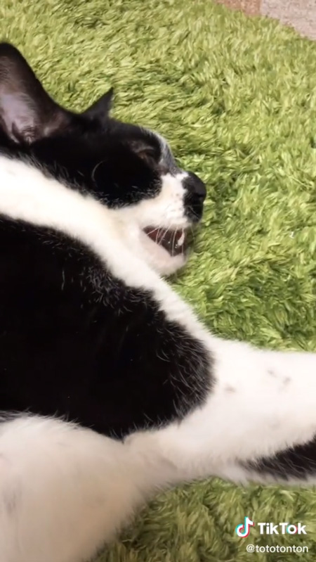 残酷な天使のテーゼ3