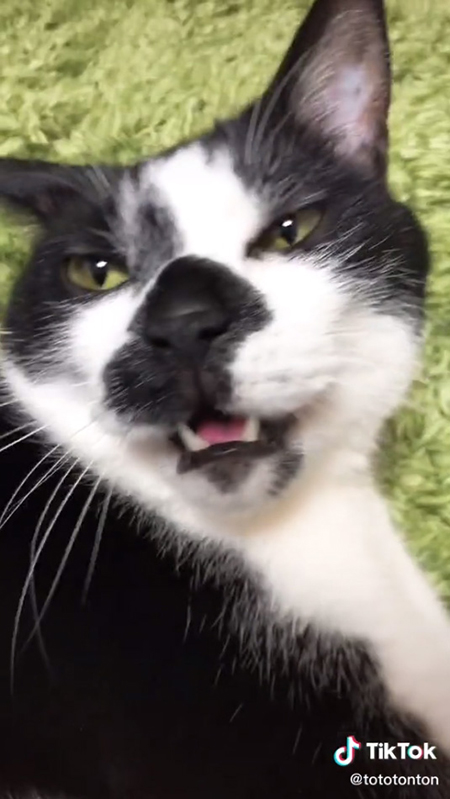 残酷な天使のテーゼ4