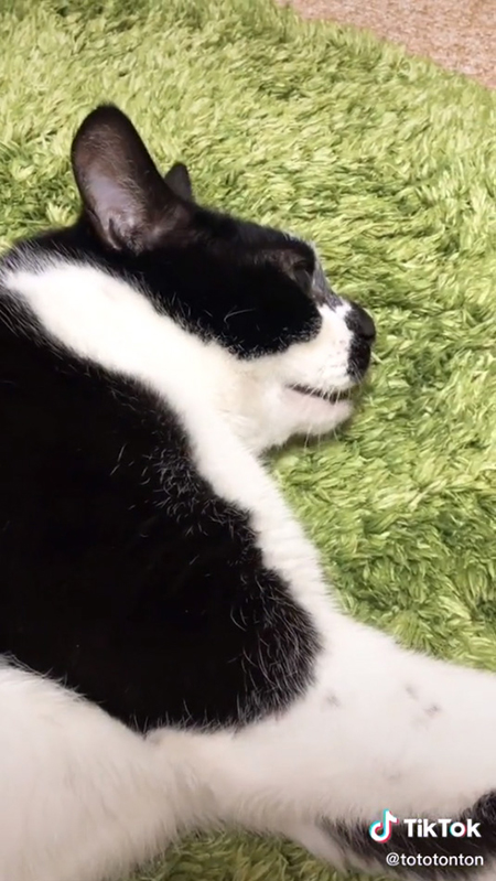 残酷な天使のテーゼ5