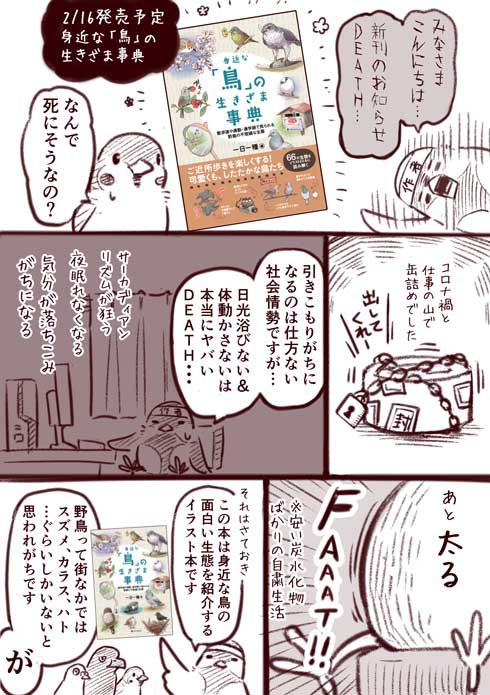身近な鳥の生きざま事典 野鳥 身近な鳥 観察 一日一種