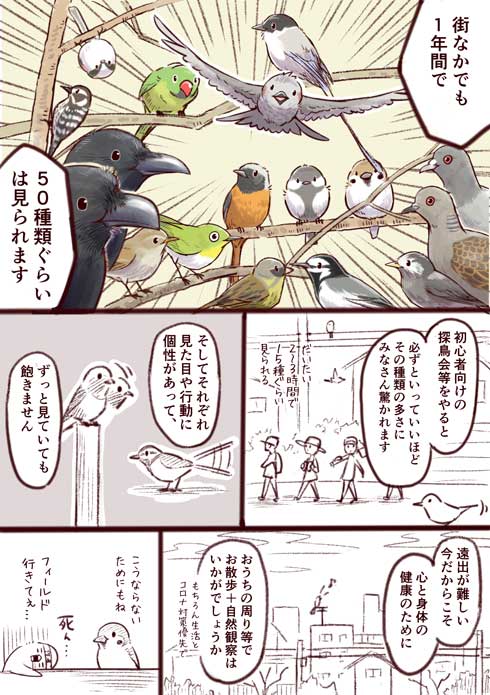 身近な鳥の生きざま事典 野鳥 身近な鳥 観察 一日一種