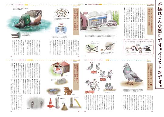 身近な鳥の生きざま事典 野鳥 身近な鳥 観察 一日一種