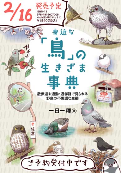 身近な鳥の生きざま事典 野鳥 身近な鳥 観察 一日一種