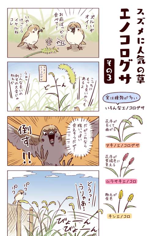 身近な鳥の生きざま事典 野鳥 身近な鳥 観察 一日一種