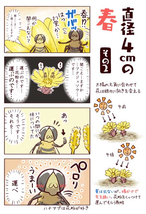 身近な鳥の生きざま事典 野鳥 身近な鳥 観察 一日一種