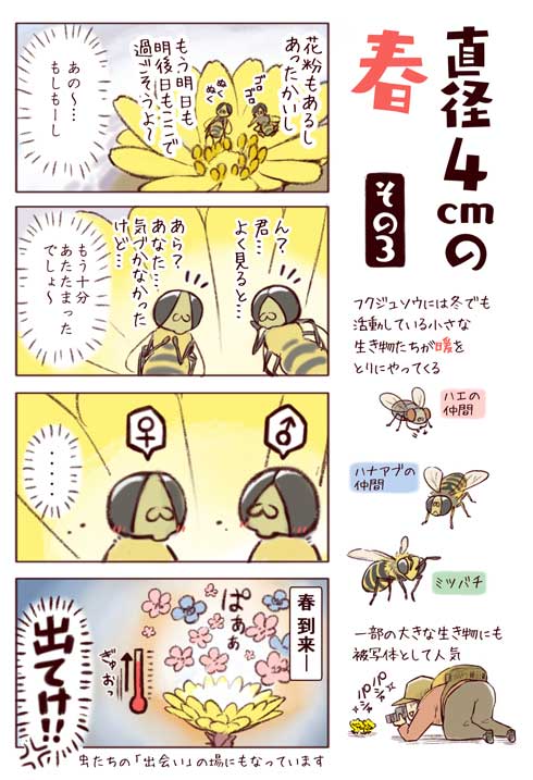 身近な鳥の生きざま事典 野鳥 身近な鳥 観察 一日一種