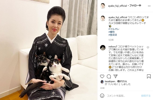 藤あや子 マル オレオ 猫 地震