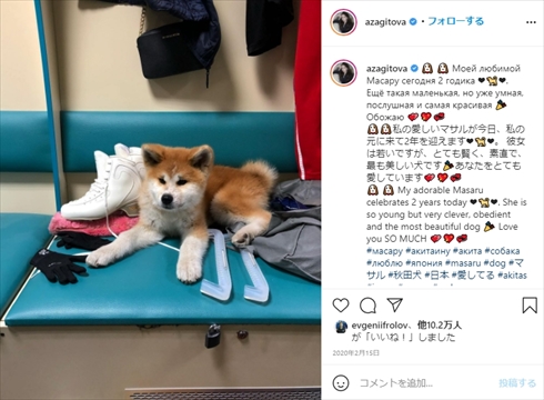 アリーナ・ザギトワ マサル 秋田犬 誕生日 フィギュアスケート ロシア インスタ