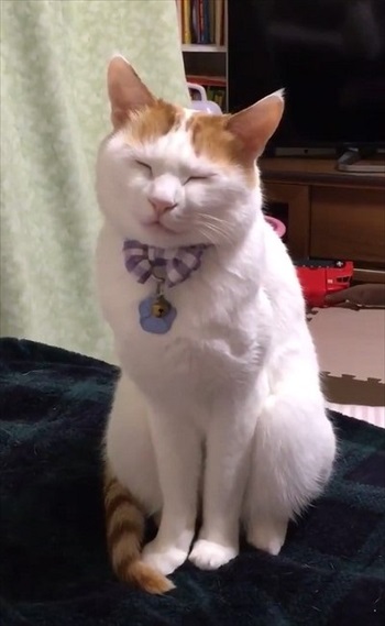 おすすめ
