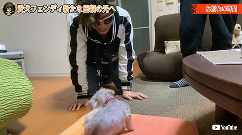 GACKT 愛犬譲渡 フェンディ 批判 エゴ