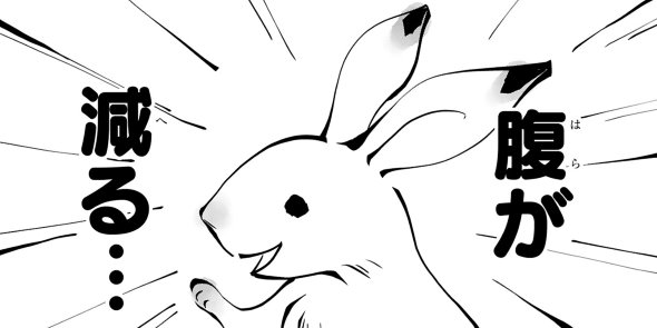 末期ガンでも元気です 38歳エロ漫画家 大腸がんになる 単行本