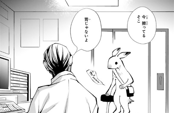 末期ガンでも元気です 38歳エロ漫画家 大腸がんになる 単行本