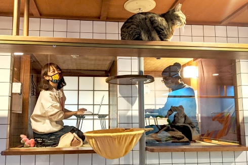 猫旅籠ワーク