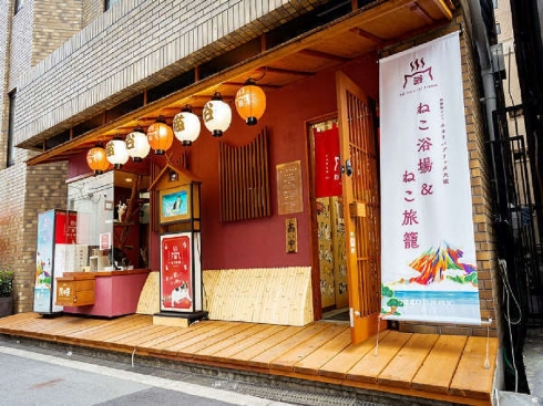 猫旅籠ワーク