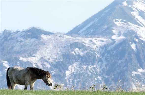 牧場のクラウドファンディング