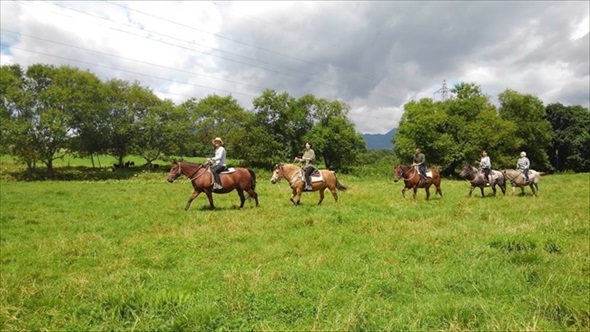 牧場のクラウドファンディング