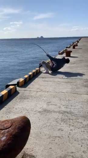 巨大 ホシエイ 釣り上げ 東京 離島 写真