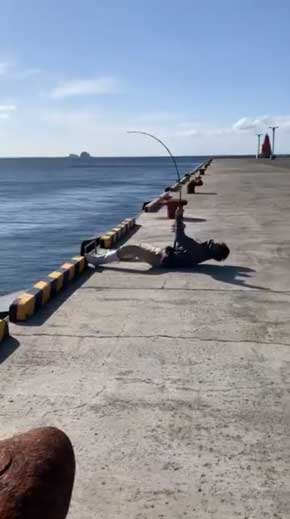 巨大 ホシエイ 釣り上げ 東京 離島 写真