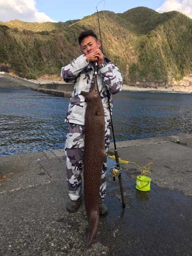 巨大 ホシエイ 釣り上げ 東京 離島 写真