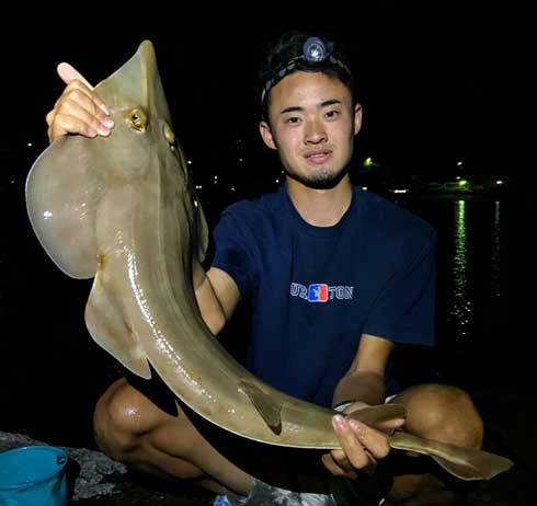 巨大 ホシエイ 釣り上げ 東京 離島 写真