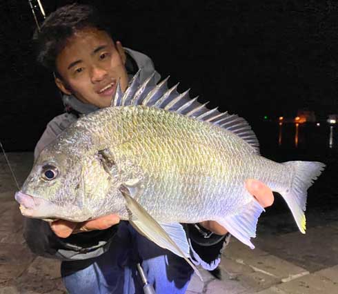 巨大 ホシエイ 釣り上げ 東京 離島 写真