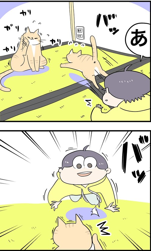 うちの猫はアレルギー持ちな日々2