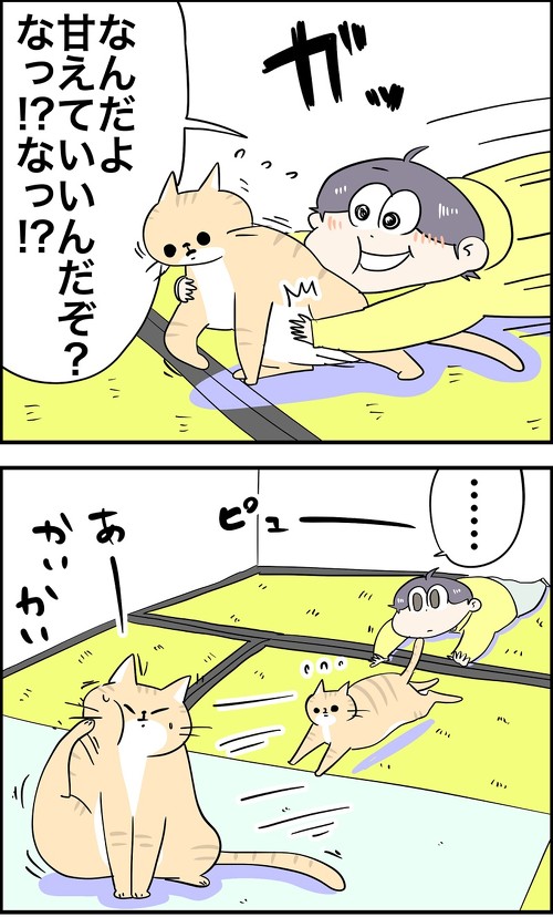 うちの猫はアレルギー持ちな日々2
