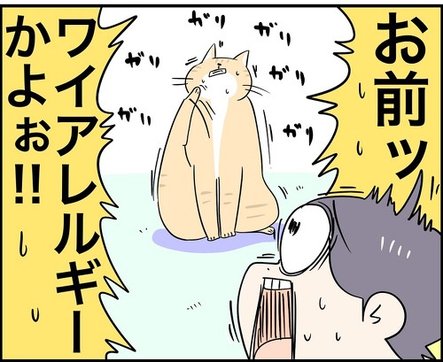 うちの猫はアレルギー持ちな日々2