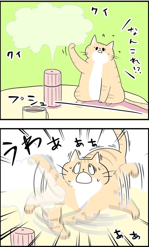 うちの猫が狂っちゃった日々1
